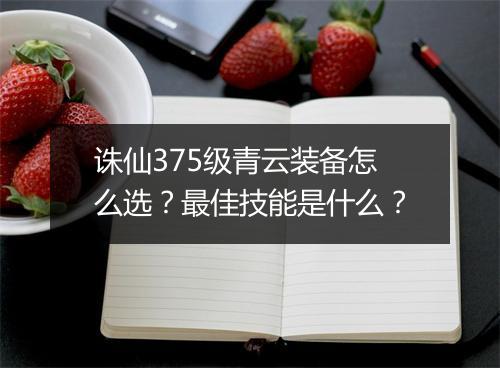诛仙375级青云装备怎么选？最佳技能是什么？