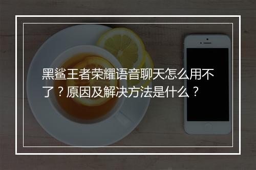 黑鲨王者荣耀语音聊天怎么用不了？原因及解决方法是什么？