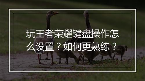 玩王者荣耀键盘操作怎么设置？如何更熟练？