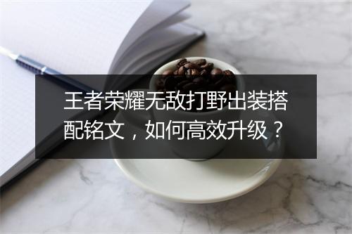 王者荣耀无敌打野出装搭配铭文，如何高效升级？