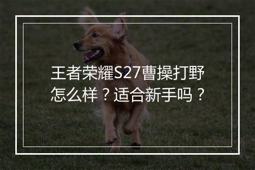 王者荣耀S27曹操打野怎么样？适合新手吗？