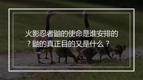 火影忍者鼬的使命是谁安排的？鼬的真正目的又是什么？