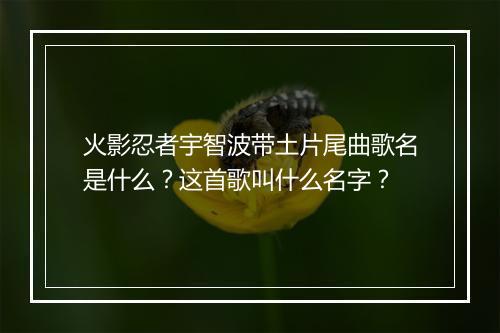 火影忍者宇智波带土片尾曲歌名是什么？这首歌叫什么名字？