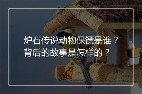 炉石传说动物保镖是谁？背后的故事是怎样的？