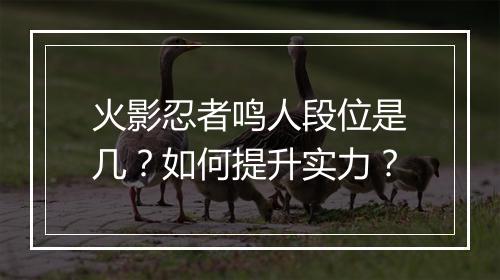 火影忍者鸣人段位是几？如何提升实力？