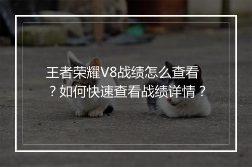 王者荣耀V8战绩怎么查看？如何快速查看战绩详情？