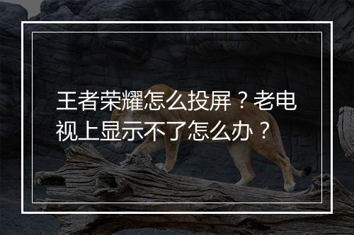王者荣耀怎么投屏？老电视上显示不了怎么办？