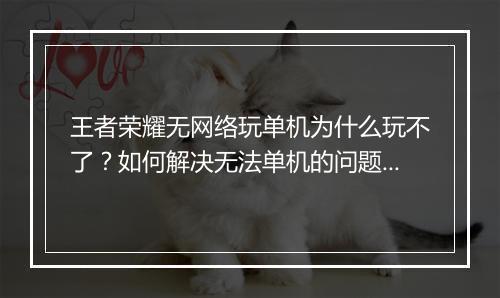 王者荣耀无网络玩单机为什么玩不了？如何解决无法单机的问题？