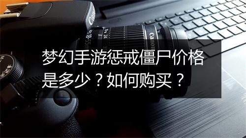 梦幻手游惩戒僵尸价格是多少？如何购买？