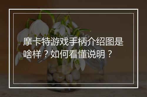 摩卡特游戏手柄介绍图是啥样？如何看懂说明？