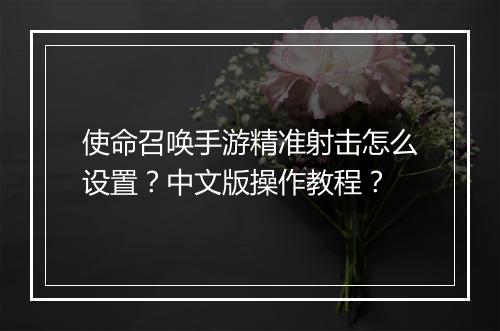 使命召唤手游精准射击怎么设置？中文版操作教程？
