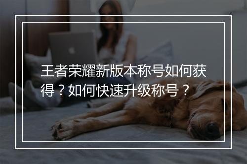 王者荣耀新版本称号如何获得？如何快速升级称号？
