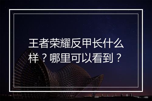 王者荣耀反甲长什么样？哪里可以看到？