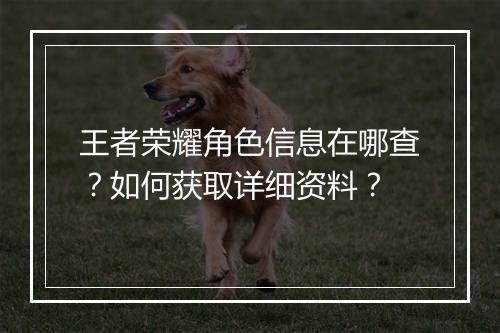 王者荣耀角色信息在哪查？如何获取详细资料？
