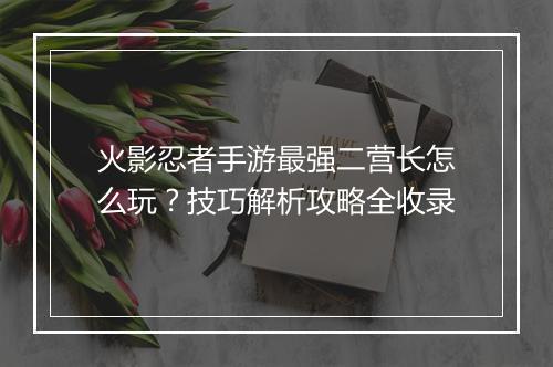 火影忍者手游最强二营长怎么玩？技巧解析攻略全收录