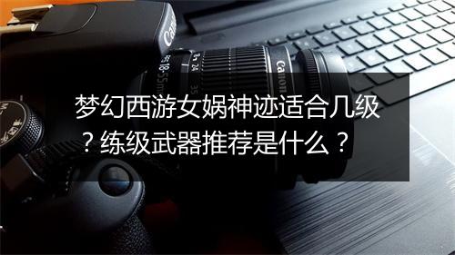 梦幻西游女娲神迹适合几级？练级武器推荐是什么？