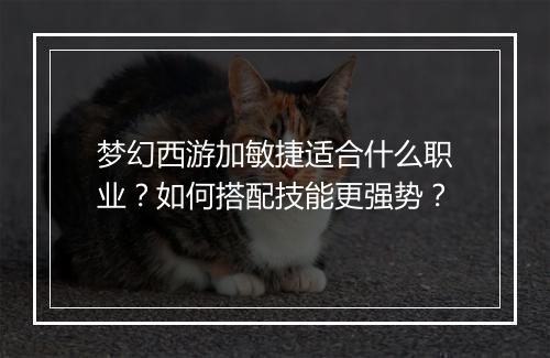 梦幻西游加敏捷适合什么职业？如何搭配技能更强势？
