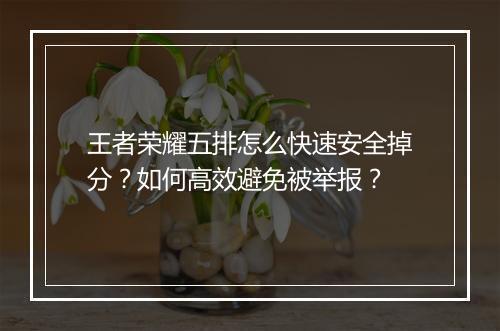 王者荣耀五排怎么快速安全掉分？如何高效避免被举报？