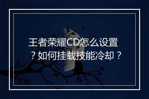 王者荣耀CD怎么设置？如何挂载技能冷却？