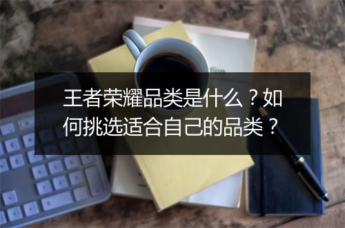 王者荣耀品类是什么？如何挑选适合自己的品类？