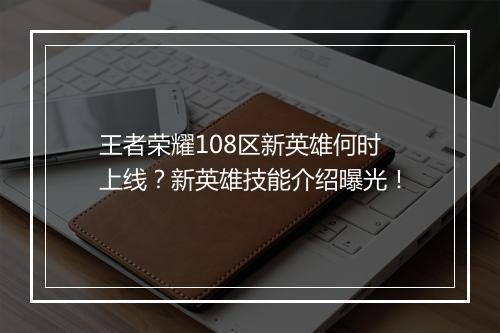 王者荣耀108区新英雄何时上线？新英雄技能介绍曝光！