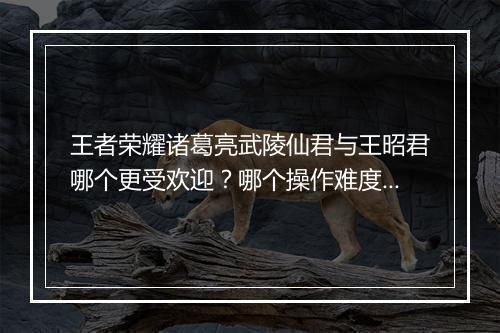 王者荣耀诸葛亮武陵仙君与王昭君哪个更受欢迎？哪个操作难度更高？