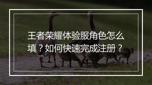 王者荣耀体验服角色怎么填？如何快速完成注册？
