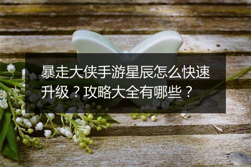 暴走大侠手游星辰怎么快速升级？攻略大全有哪些？