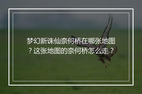 梦幻新诛仙奈何桥在哪张地图？这张地图的奈何桥怎么走？