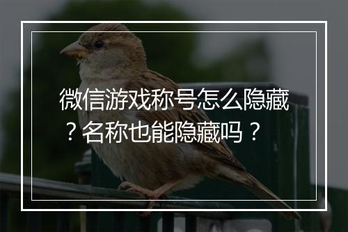 微信游戏称号怎么隐藏？名称也能隐藏吗？