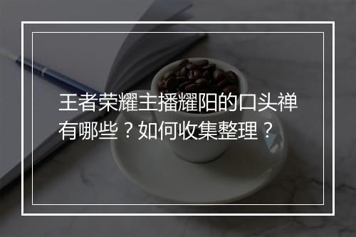 王者荣耀主播耀阳的口头禅有哪些？如何收集整理？