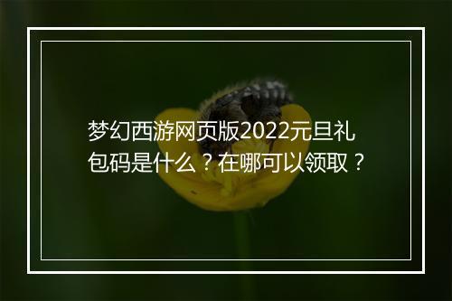 梦幻西游网页版2022元旦礼包码是什么？在哪可以领取？