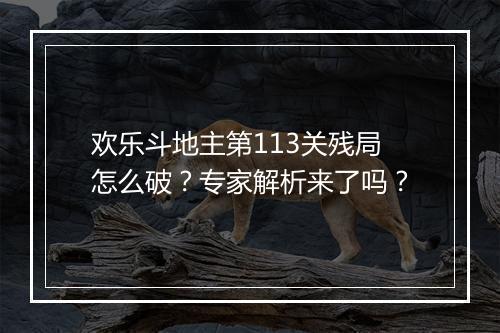 欢乐斗地主第113关残局怎么破？专家解析来了吗？