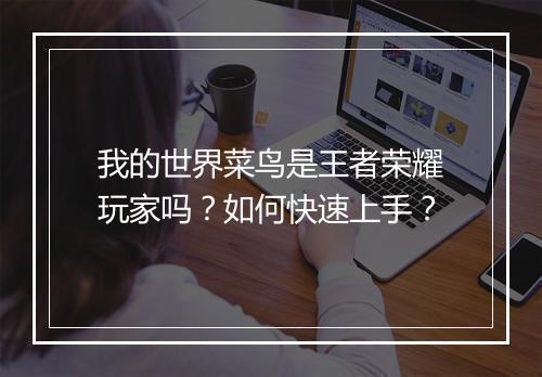 我的世界菜鸟是王者荣耀玩家吗？如何快速上手？