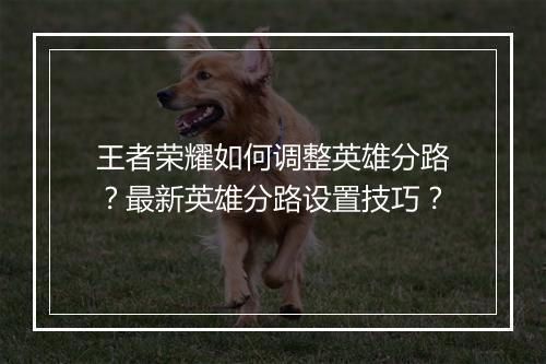 王者荣耀如何调整英雄分路？最新英雄分路设置技巧？