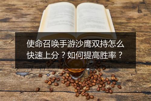 使命召唤手游沙鹰双持怎么快速上分？如何提高胜率？