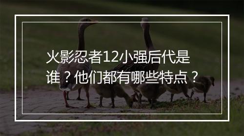 火影忍者12小强后代是谁？他们都有哪些特点？
