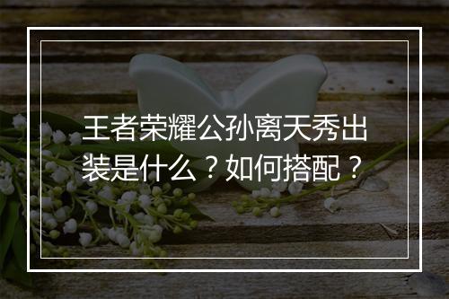 王者荣耀公孙离天秀出装是什么？如何搭配？