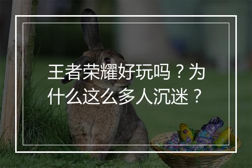 王者荣耀好玩吗？为什么这么多人沉迷？