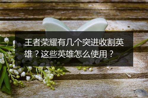 王者荣耀有几个突进收割英雄？这些英雄怎么使用？