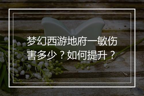 梦幻西游地府一敏伤害多少？如何提升？