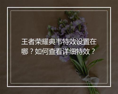 王者荣耀典韦特效设置在哪？如何查看详细特效？
