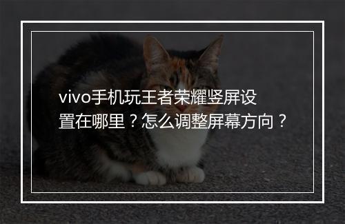 vivo手机玩王者荣耀竖屏设置在哪里？怎么调整屏幕方向？