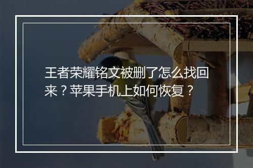 王者荣耀铭文被删了怎么找回来？苹果手机上如何恢复？