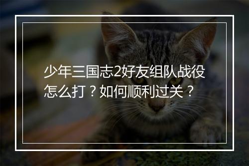 少年三国志2好友组队战役怎么打？如何顺利过关？