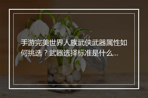 手游完美世界人族武侠武器属性如何挑选？武器选择标准是什么？