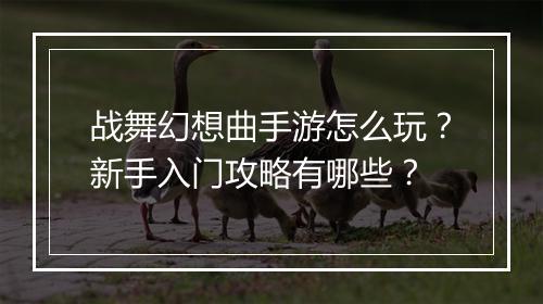 战舞幻想曲手游怎么玩？新手入门攻略有哪些？