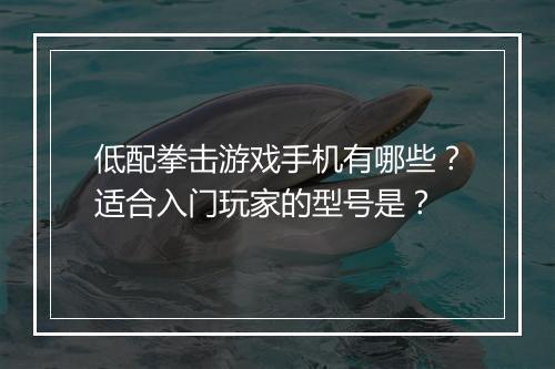低配拳击游戏手机有哪些？适合入门玩家的型号是？