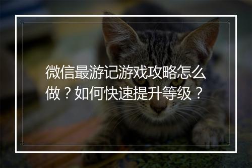 微信最游记游戏攻略怎么做？如何快速提升等级？