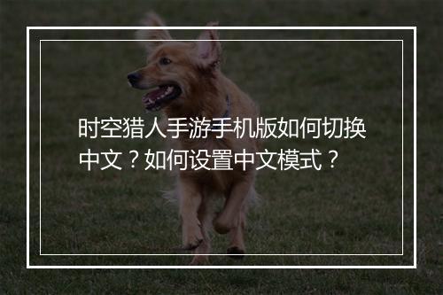 时空猎人手游手机版如何切换中文？如何设置中文模式？
